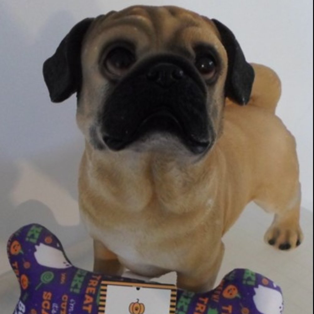 Halloween Plush Squeaky Dog Bone Toy - Figurine Not Included